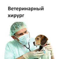 Ветеринарный хирург